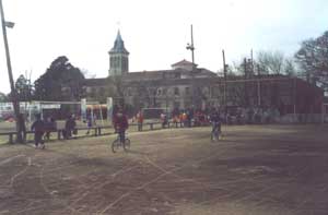 Carrera de bicicletas