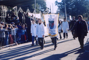 Desfile de instituciones