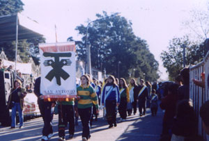 Desfile de instituciones