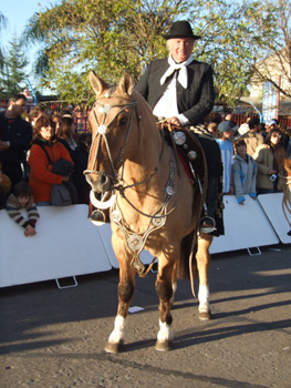 Desfile de grupos tradicionalistas