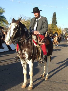 Desfile de grupos tradicionalistas