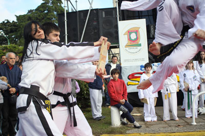 Demostración de Taekwondo