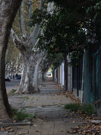 Concurso fotografía San Antonio de Padua "La ciudad del Santo"