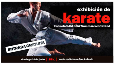 Exhibición de Karate